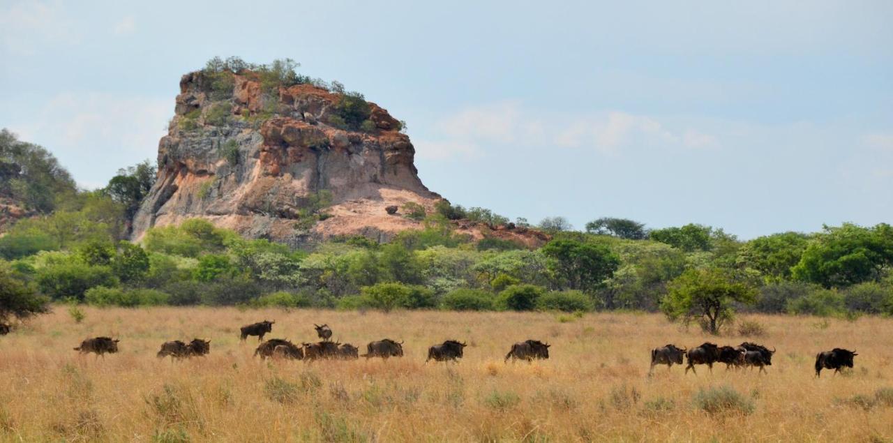 Zwahili Private Game Lodge & Spa Modimolle Exterior foto